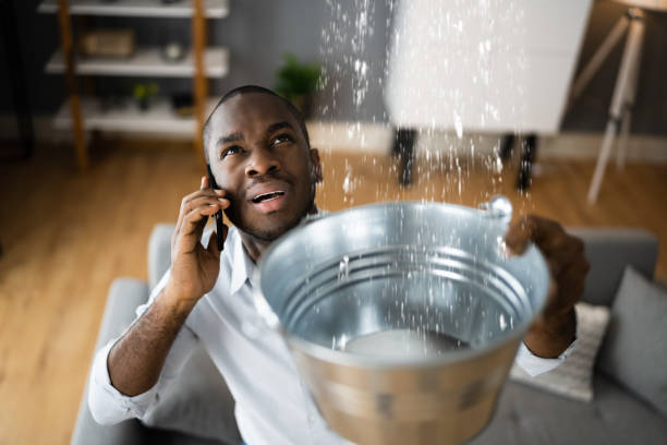 Best Residential water damage restoration  in Presquille, LA