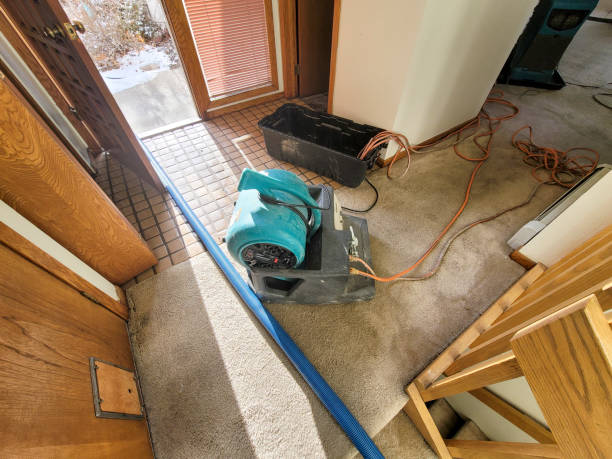 Best Water damage mitigation services  in Presquille, LA