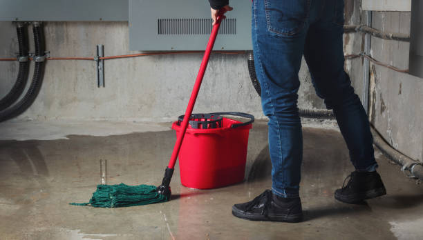 Best Local water damage restoration  in Presquille, LA