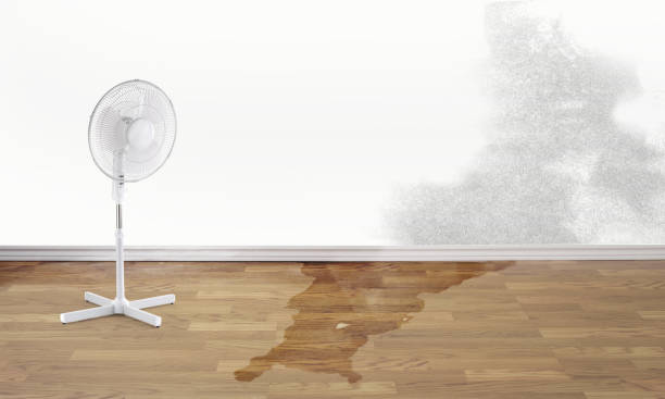 Best Commercial water damage restoration  in Presquille, LA