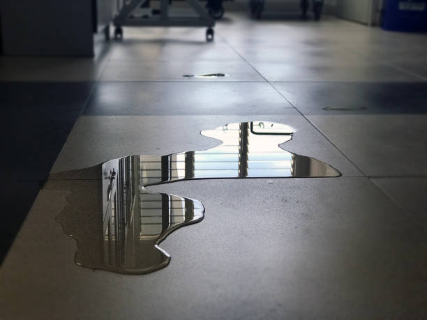 Best Commercial water damage restoration  in Presquille, LA