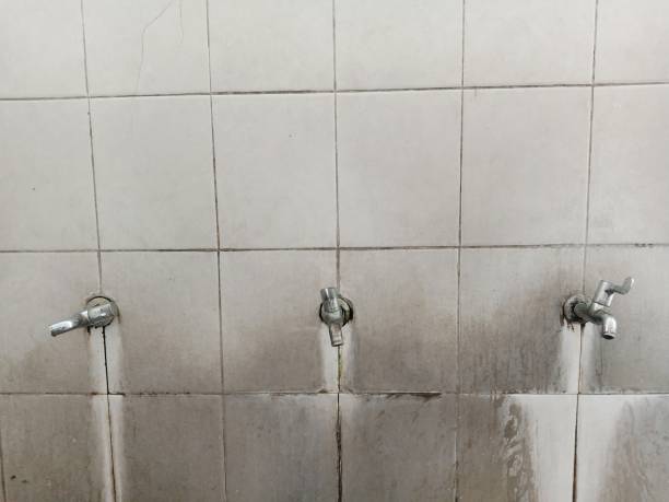 Best Water damage restoration near me  in Presquille, LA